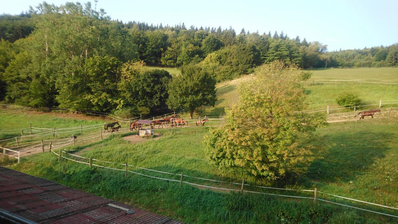 Appartement Zrebcin Mlyncok à Slovenska Lupca Extérieur photo
